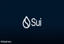 تحلیل تکنیکال قیمت SUI در 5 بهمن؛ قیمت سویی 10 برابر می شود؟