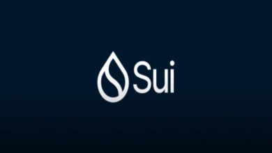 تحلیل تکنیکال قیمت SUI در 5 بهمن؛ قیمت سویی 10 برابر می شود؟