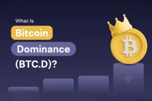 دامیننس بیت کوین چیست؟ آموزش کسب سود از BTC.D