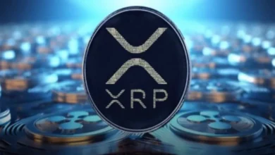 ارز دیجیتال ریپل (XRP) چیست؟ 0 تا 100 مزایا و معایب XRP