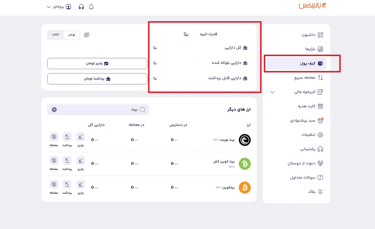 موجودی ریالی کیف پول بالینکس