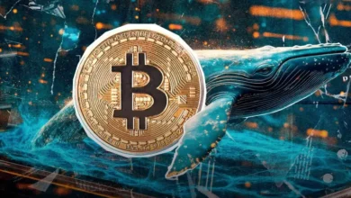 بازگشت غول‌ خاموش BTC؛ کیف پول ۱۰ ساله بیت کوین دوباره فعال شد!