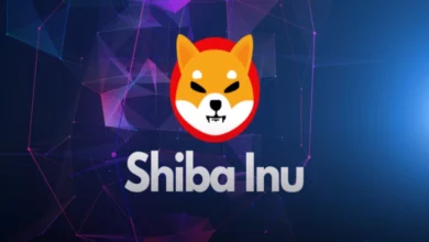 تحلیل تکنیکال شیبا امروز 30 بهمن؛ مقاومت SHIB نابود می شود؟