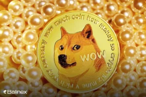 دوج کوین چیست؟ همه چیز درباره Dogecoin