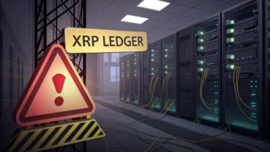 اختلال ۶۴ دقیقه ای بلاک چین ریپل؛ آیا توکن های XRP از بین رفتند؟