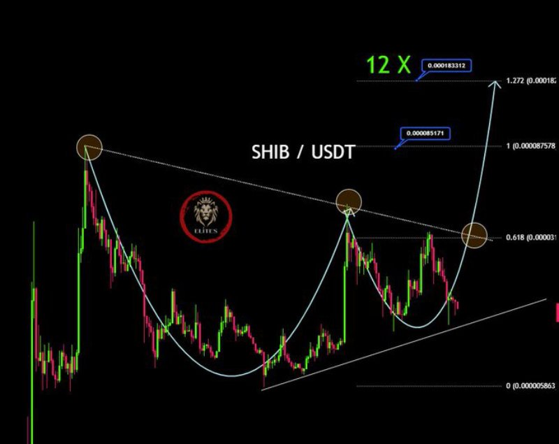 نمودار شیبا