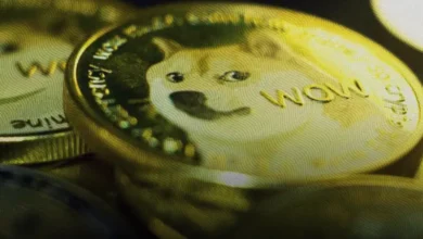 تحلیل تکنیکال دوج کوین امروز 1 فروردین؛ رشد یا سقوط DOGE؟