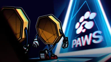 مهاجرت PAWS به سولانا؛ تغییر بزرگ در دنیای بلاک چین!