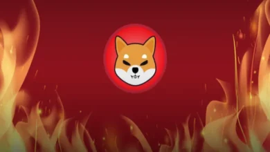 تحلیل تکنیکال شیبا امروز 14 اسفند؛ رشد 500 درصدی SHIB در راه است؟