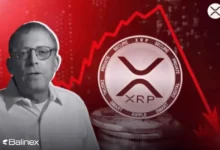 پیش‌ بینی سقوط 50 درصدی قیمت ریپل؛ آیا XRP دامپ می شود؟