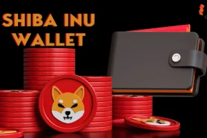 آموزش انتقال شیبا به کیف پول + ساخت Wallet و شارژ آن