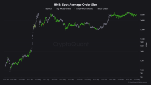 پتانسیل رشد BNB در قالب تصویر