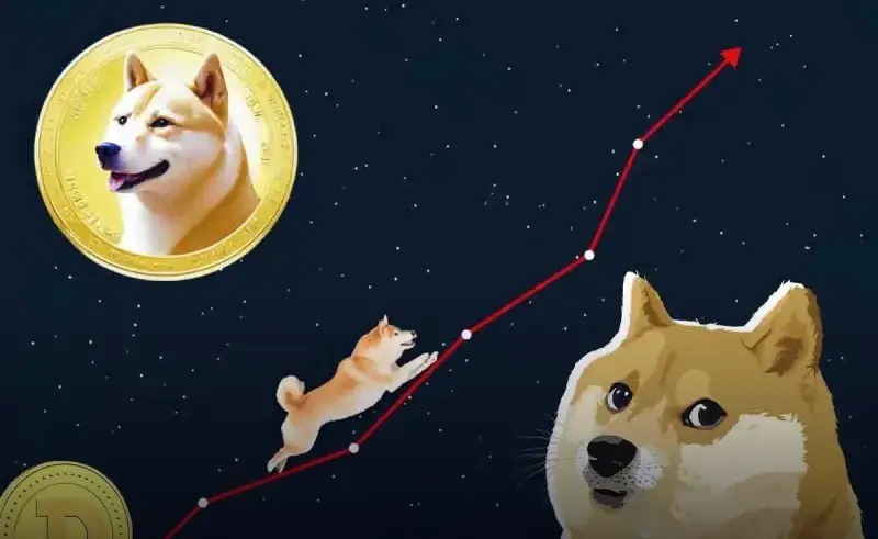 DOGE