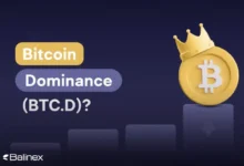 افزایش دامیننس بیت‌ کوین به 64.9 درصد؛ سلطه BTC بر بازار کریپتو!