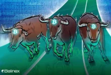 تحلیل تکنیکال بیت کوین امروز 17 اردیبهشت؛ سرانجام BTC چه می شود؟