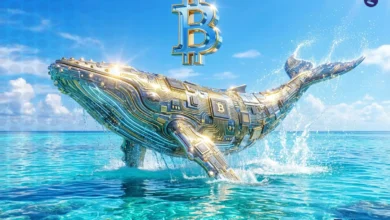 نهنگ ها در ارز دیجیتال چه کسانی هستند؟ + آموزش ردیابی نهنگ‌ها