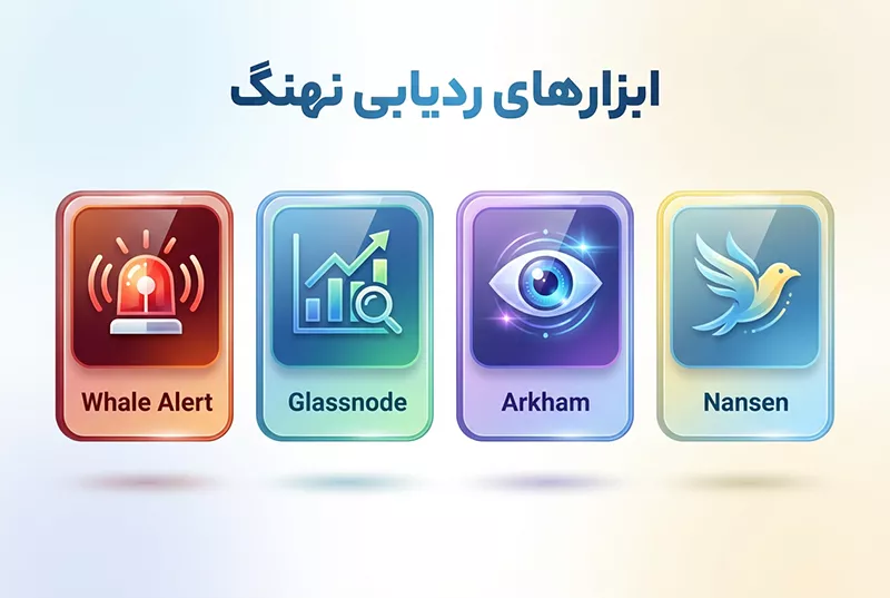 پلتفرم های رایج برای ردیابی نهنگ ها