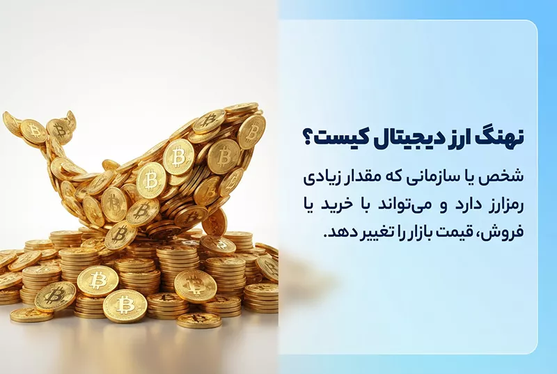 نهنگ ها در ارز دیجیتال چه کسانی هستند؟