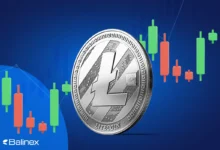 لایت کوین در انتظار رشد قیمت یا سقوطی تاریخی؟