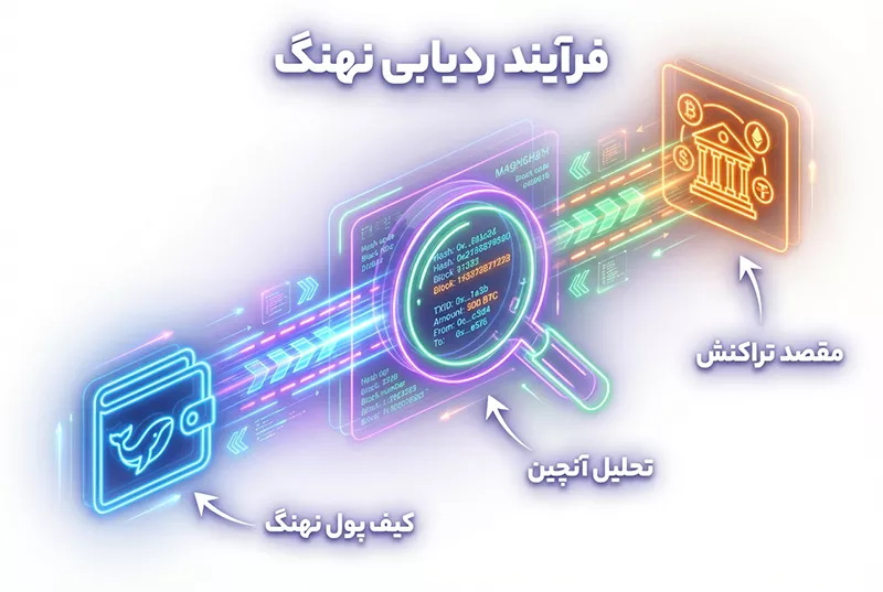 چگونه نهنگ های ارز دیجیتال را ردیابی کنیم؟