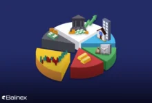 برای کسب سود چی بخریم؟ راهنمای سرمایه‌گذاری هوشمند در تیرماه 1404!
