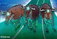 تحلیل تکنیکال بیت کوین امروز 20 خرداد؛ پرواز BTC به 109 هزار دلار!