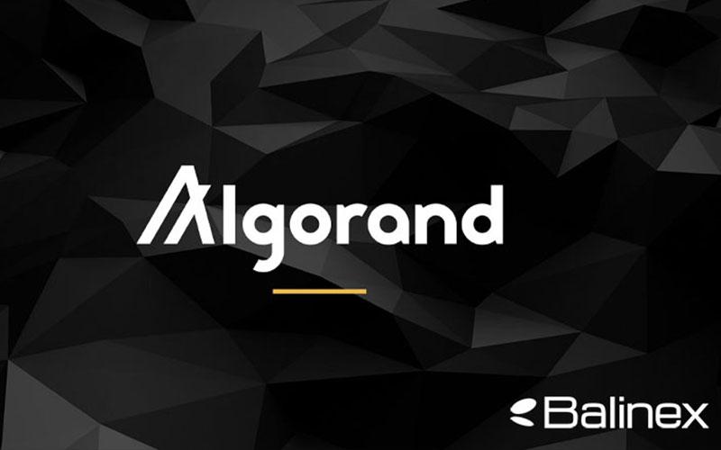 دامیننس ALGO
