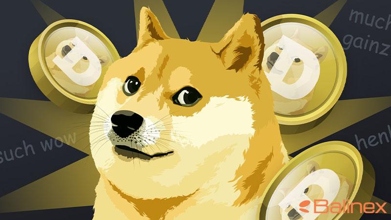 پونک در مقابل دوج کوین (Dogecoin)