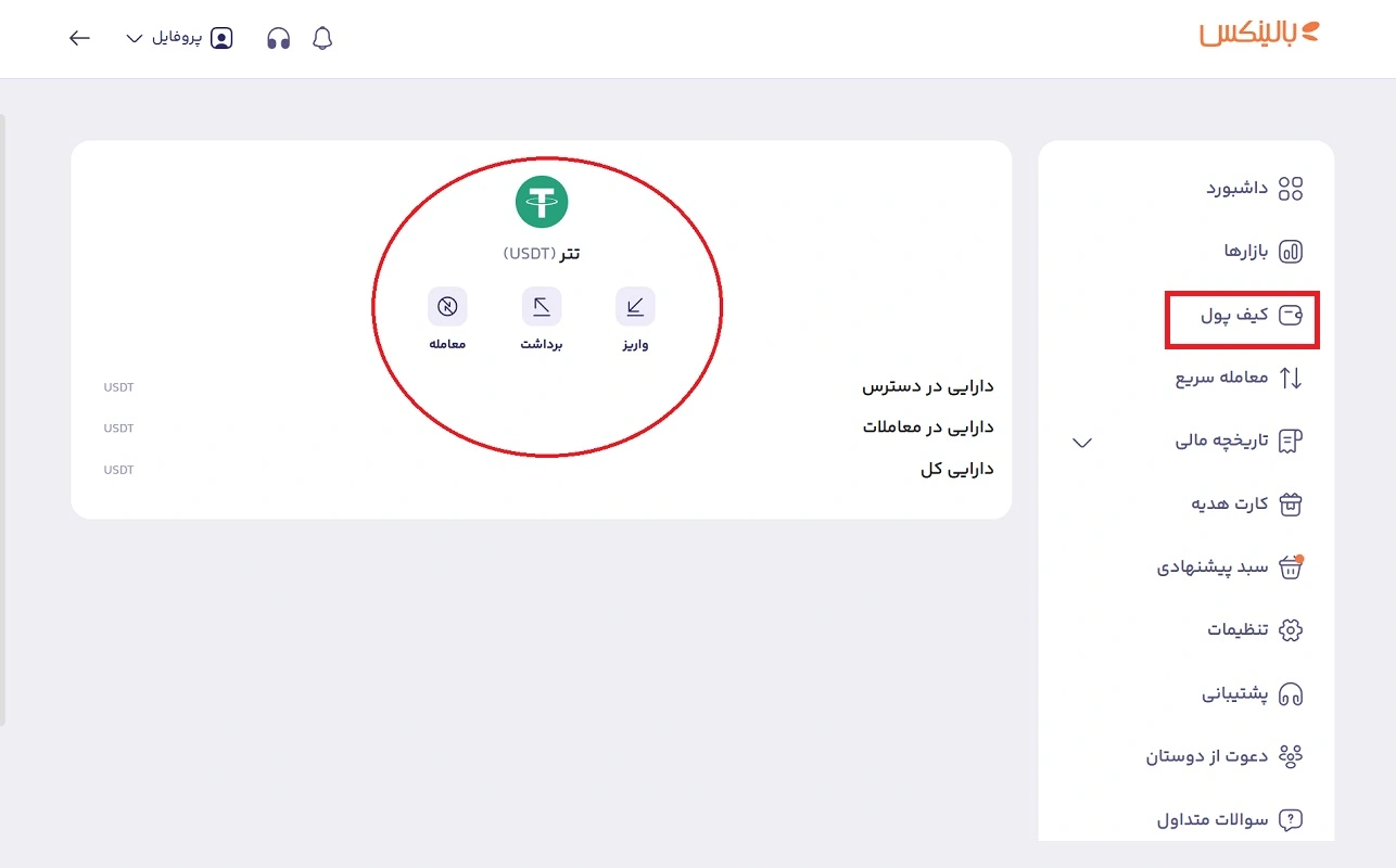 مشاهده تتر در کیف پول بالینکس