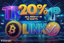 پیشنهاد ویژه تابستانی؛ 6 ارز دیجیتال برای سود 20% در 10 روز!