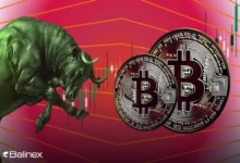 آیا ترمز رشد بیت کوین کشیده شده؟ بررسی روند حرکتی BTC!