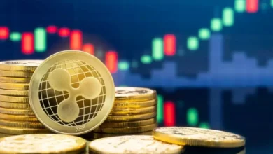 ریپل چگونه کار می‌ کند؟ بررسی 0 تا 100 نحوه کار Ripple