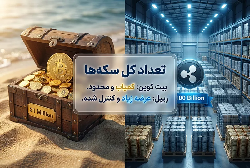 وضعیت توزیع و تعداد سکه‌ها (Tokenomics) بیت کوین و ریپل