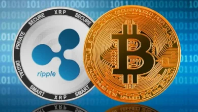 مقایسه ریپل با بیت کوین؛ کدام یک سودده‌تر خواهد بود؟