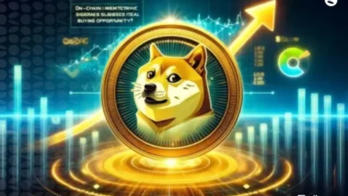 آینده قیمت دوج کوین (DOGE) | پیش بینی قیمت دوج کوین تا 2030