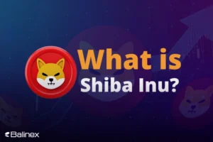 شیبا اینو چگونه کار می کند؟ بررسی کامل میم کوین پرطرفدار SHIB!