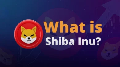 شیبا اینو چگونه کار می کند؟ بررسی کامل میم کوین پرطرفدار SHIB!