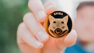 شیبا چگونه کار می‌ کند؟ بررسی 0 تا 100 نحوه کار Shiba Inu