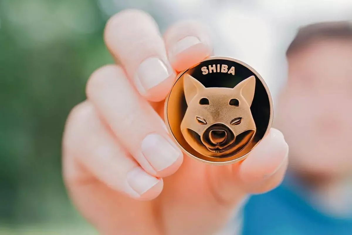 شیبا چگونه کار می‌ کند؟ بررسی 0 تا 100 نحوه کار Shiba Inu