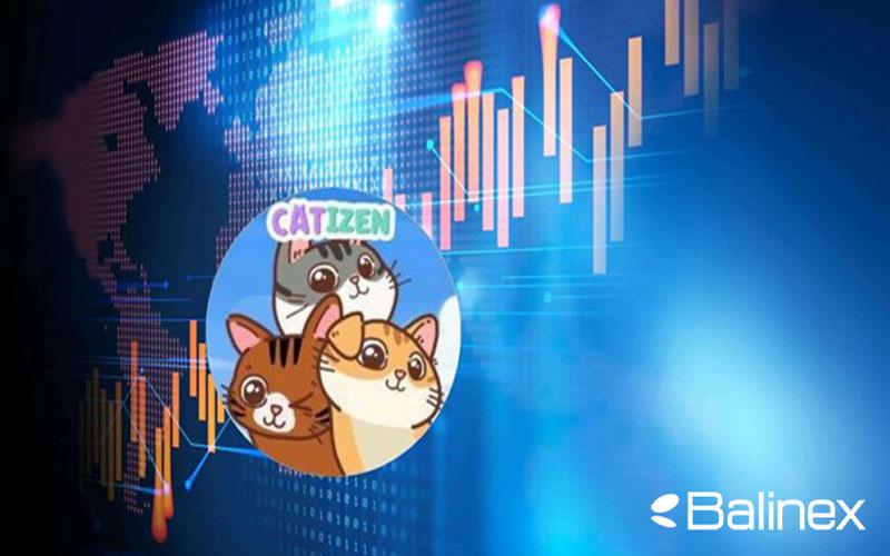 بررسی فاکتورهای موثر بر قیمت کتیزن