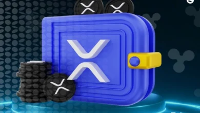 آموزش انتقال ریپل به کیف پول | از خرید تا نگهداری XRP