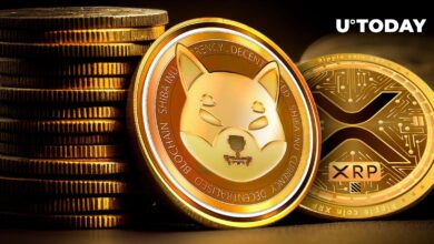 تحلیل تکنیکال بیت کوین، ریپل و شیبا امروز ۳۰ مرداد