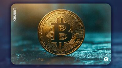 آیا بیت کوین قبل از سقوط به ۱۵۰ هزار دلار می رسد؟