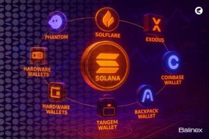 بهترین کیف پول سولانا چیست؟ معرفی 7 گزینه برای ایرانیان