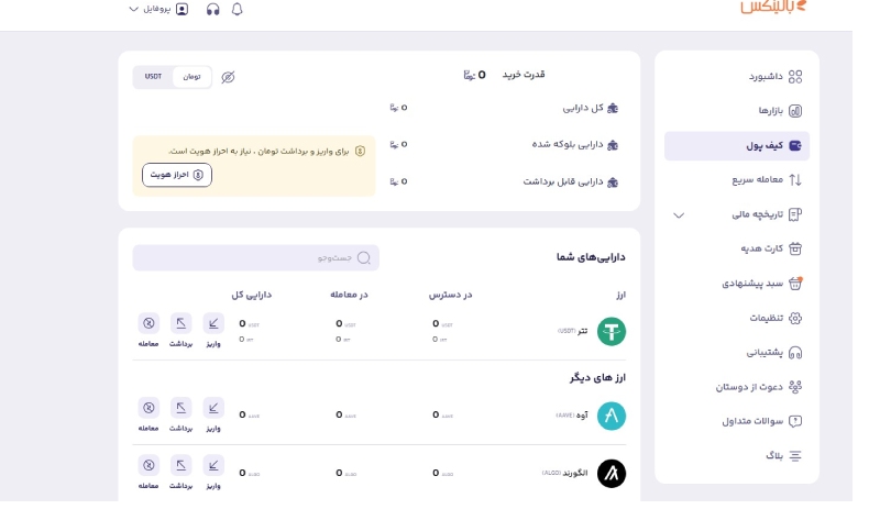 بخش مربوط به کیف پول و واریز وجه که پس از احراز هویت به نمایش در می‌آید.