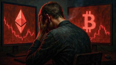 ۳۵۰ میلیون دلار در بازار کریپتو لیکوئید شد