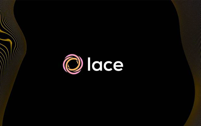 کیف پول لِیس (Lace)
