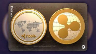 جریان سرمایه به صندوق های XRP همه را شگفت زده خواهد کرد!