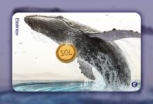 خطر سقوط قیمت سولانا؛ آیا سطح ۱۷۰ دلار حفظ می شود؟
