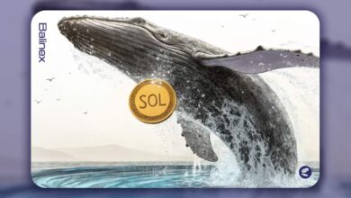 خطر سقوط قیمت سولانا؛ آیا سطح ۱۷۰ دلار حفظ می شود؟